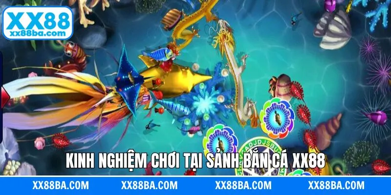 Chiến lược săn mồi đỉnh cao giúp nâng cao tỷ lệ thắng Chiến lược săn mồi đỉnh cao giúp nâng cao tỷ lệ thắng